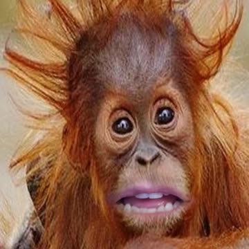 Well, that was shocking!