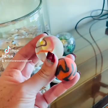 We find extraordinary stuff on the #beach #tamararoseblodgett