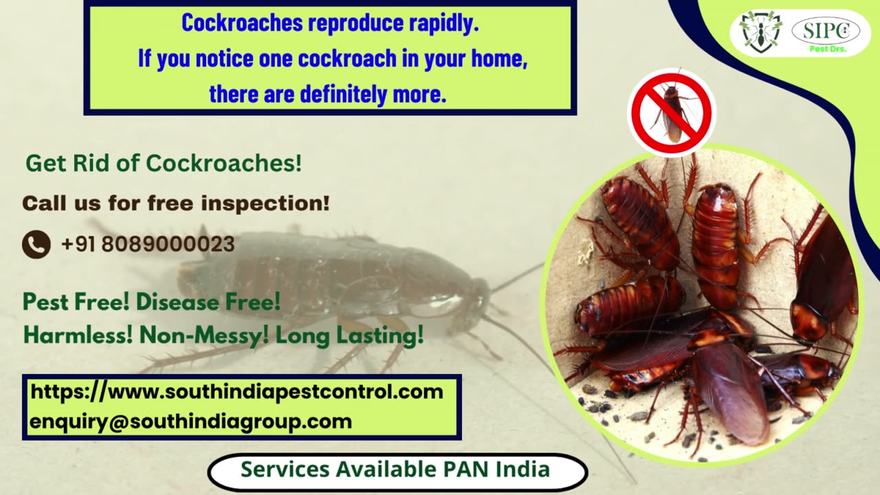 Cockroach Control Bangalore