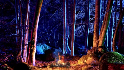 The Breathtaking Beauty of Nature Free HD Videos