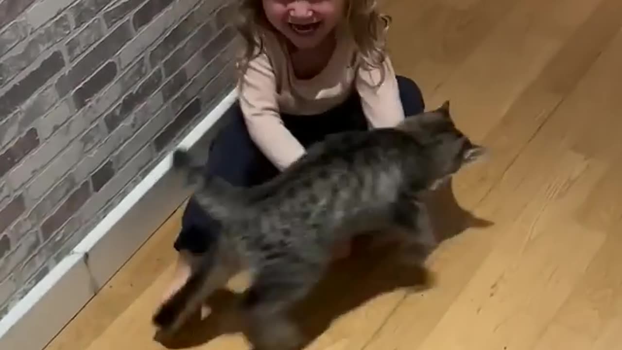 Funny cats 😂 episode 128 shorts (720p)