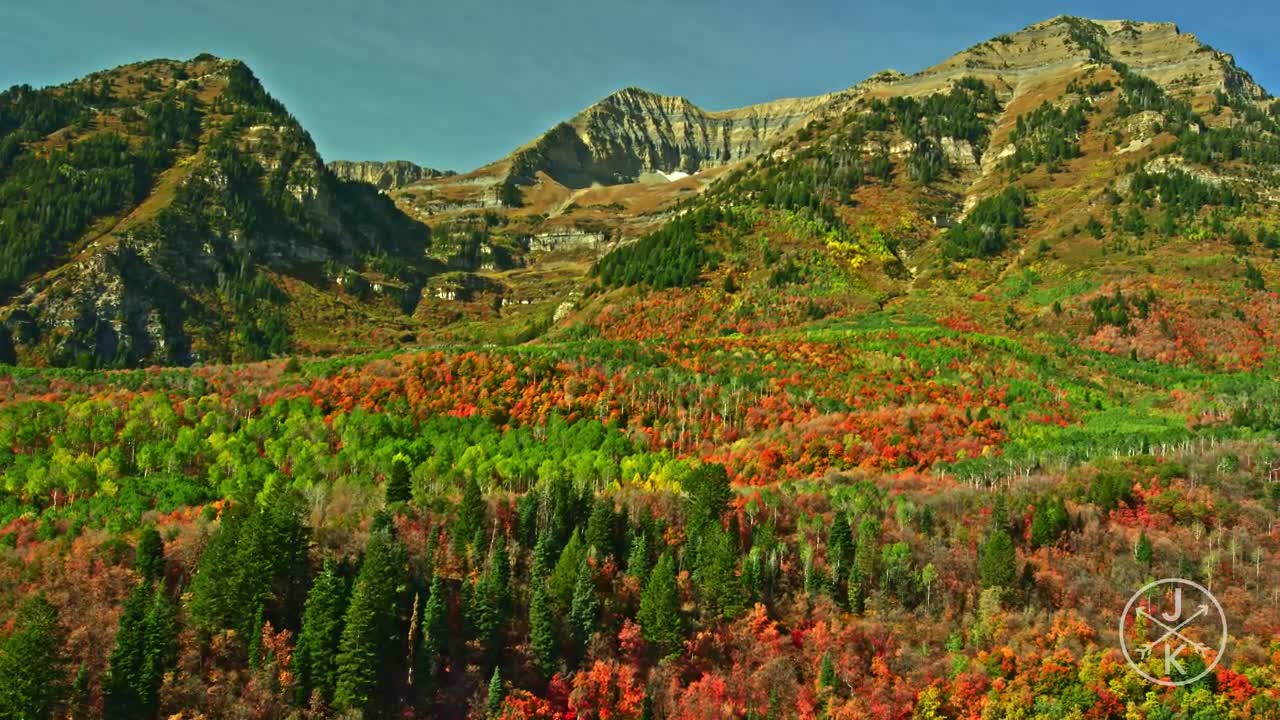 COLORFUL HARVEST 8K HDR (FUHD) 60P (DolbyVision)