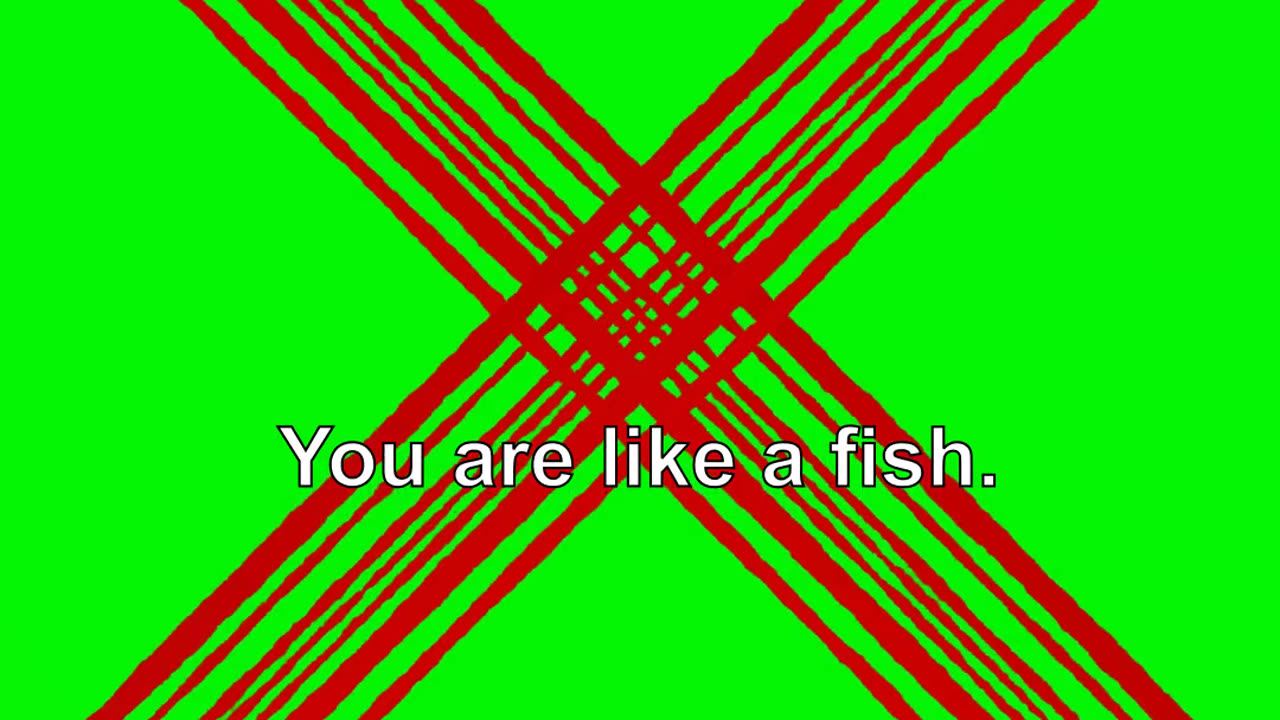 Do you know what is wrong with you? I asked. You are like a fish. You do not know how to swim.