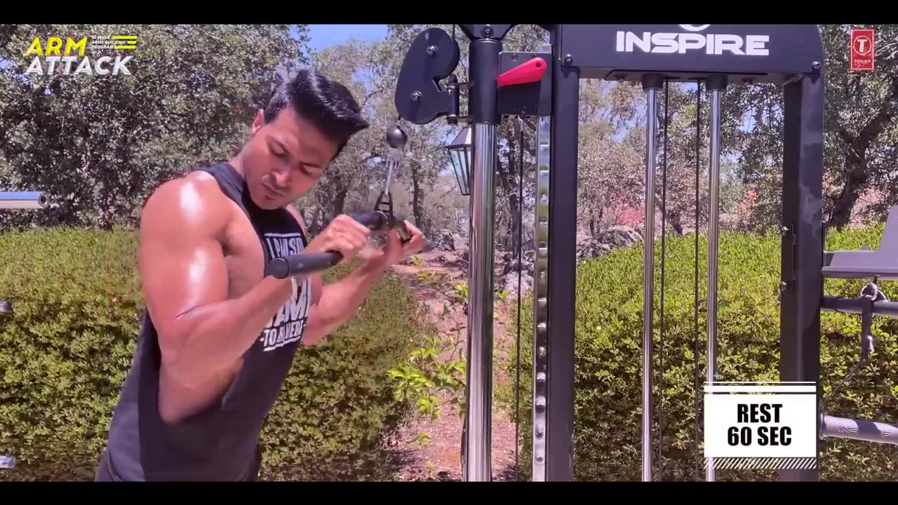 Arm Attack | Biceps & Triceps
