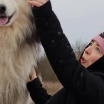 Let Your Dog Be Your Nature Guide