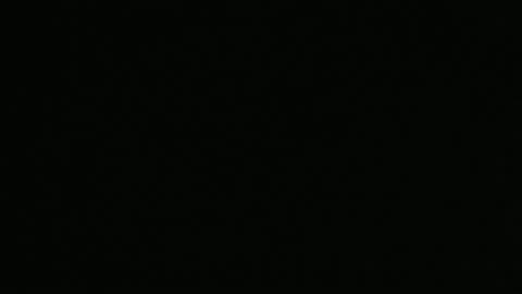 Malibu Spy Music is Her Cover And Larp doing Some Double Reverse Projection