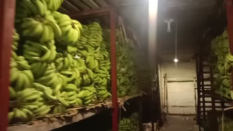 banana store