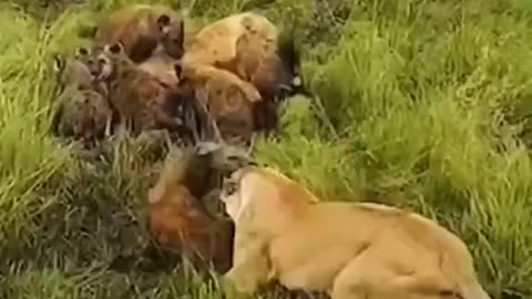 This is advantage of having many brothers.