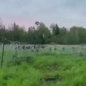Polish border guards fire rounds in air and shout in attempts to chase out illegal migrants
