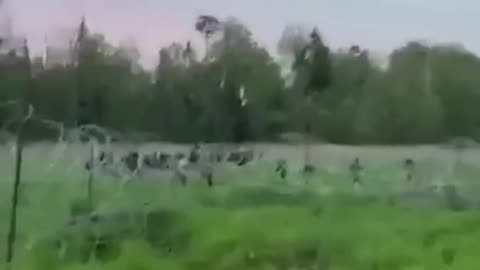 Polish border guards fire rounds in air and shout in attempts to chase out illegal migrants