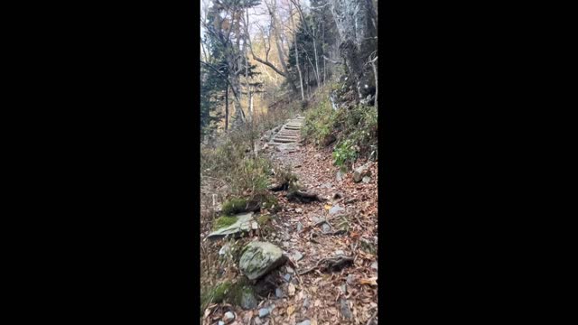 Conquering LeConte (Grotto Falls & Bull Head) in October 2022