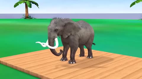 Choose Right Drink with Elephr buffalo Wild Animals Games_Cut