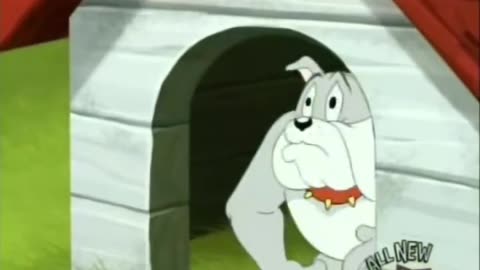 Tom and Jerry Lovers | Funny Cartoon Videos | Tom and Jerry