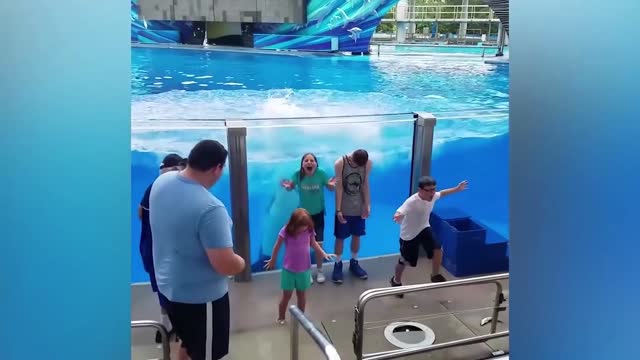 Funniest Babies Movie 22