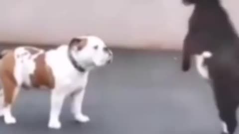 Bully vs G.O.A.T.