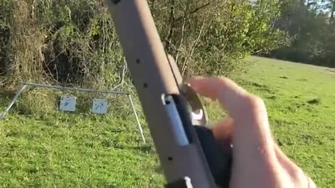 Silenced Ruger 22