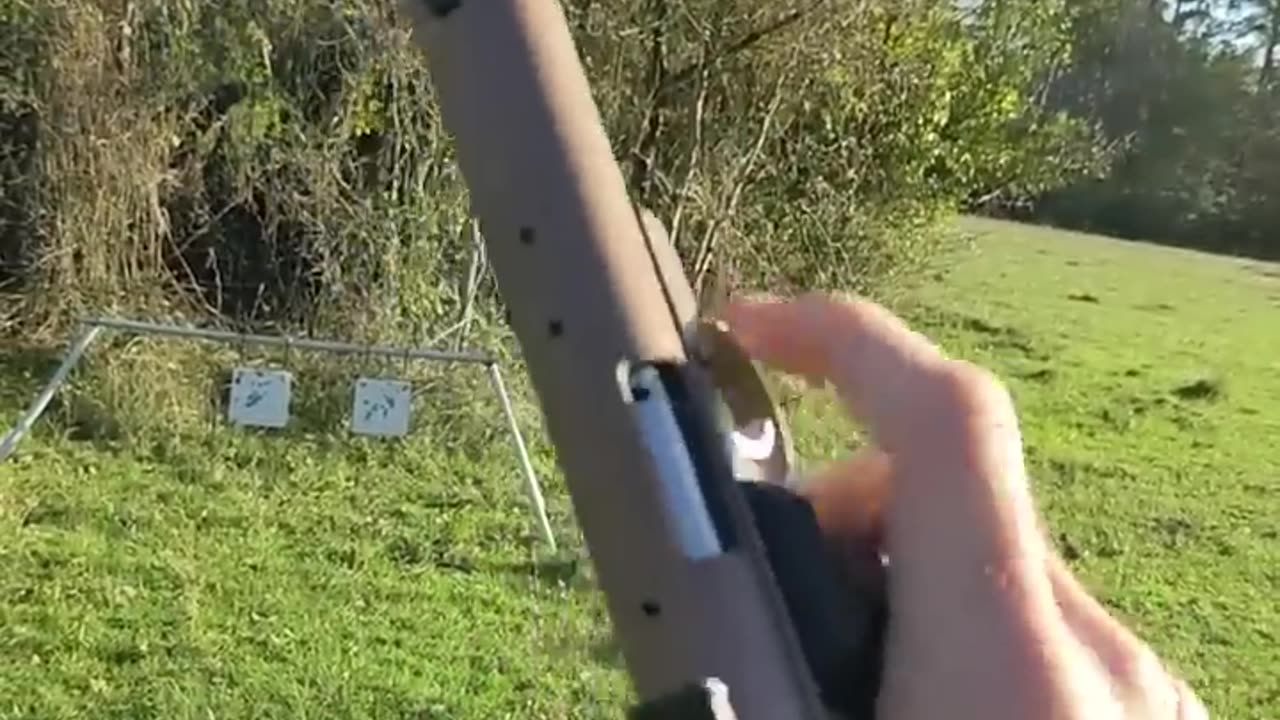 Silenced Ruger 22