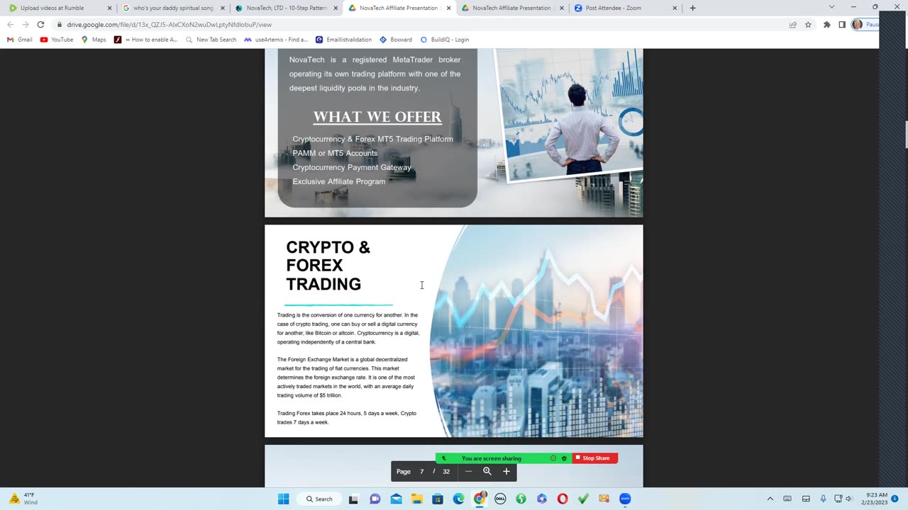 Financial Mountain