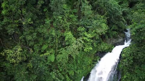 Relaxing Music | Sleeping, Meditation, Stress Relief | [1425] ⭐️