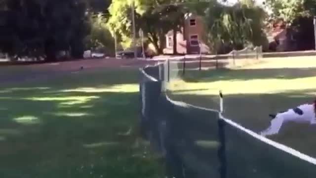 How did he get there? You know what?