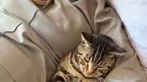 SOMEONE_IS_CLEARLY_JEALOUS!_😂(360p)
