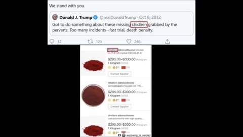 President Trump is always trying to get the truth out