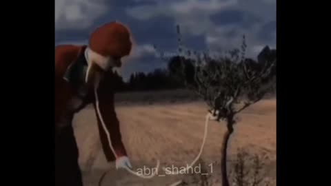 Sad story