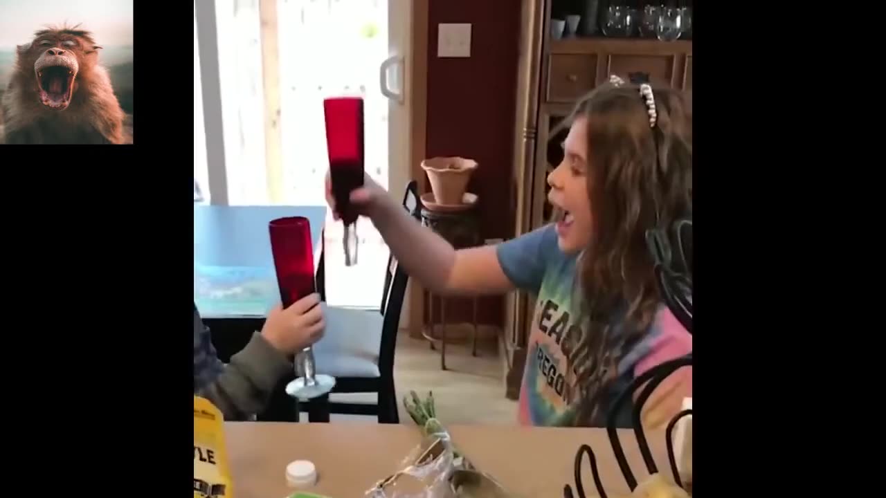 Random Videos #5 Impossible not to laugh