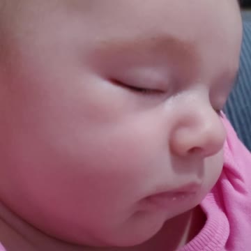 Lilly being cute March 1st 2022