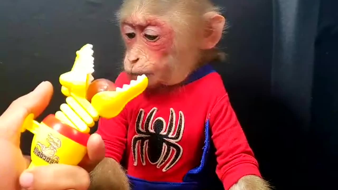 Monkey is so cute and funny game