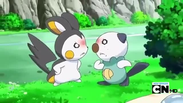 Best Wishes: Emolga and Oshawott fight