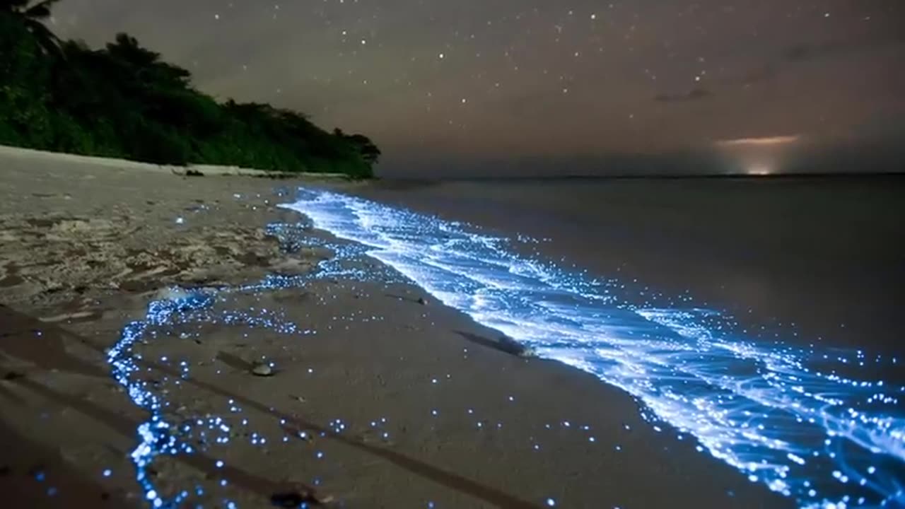 Sea of Stars 🤩✨