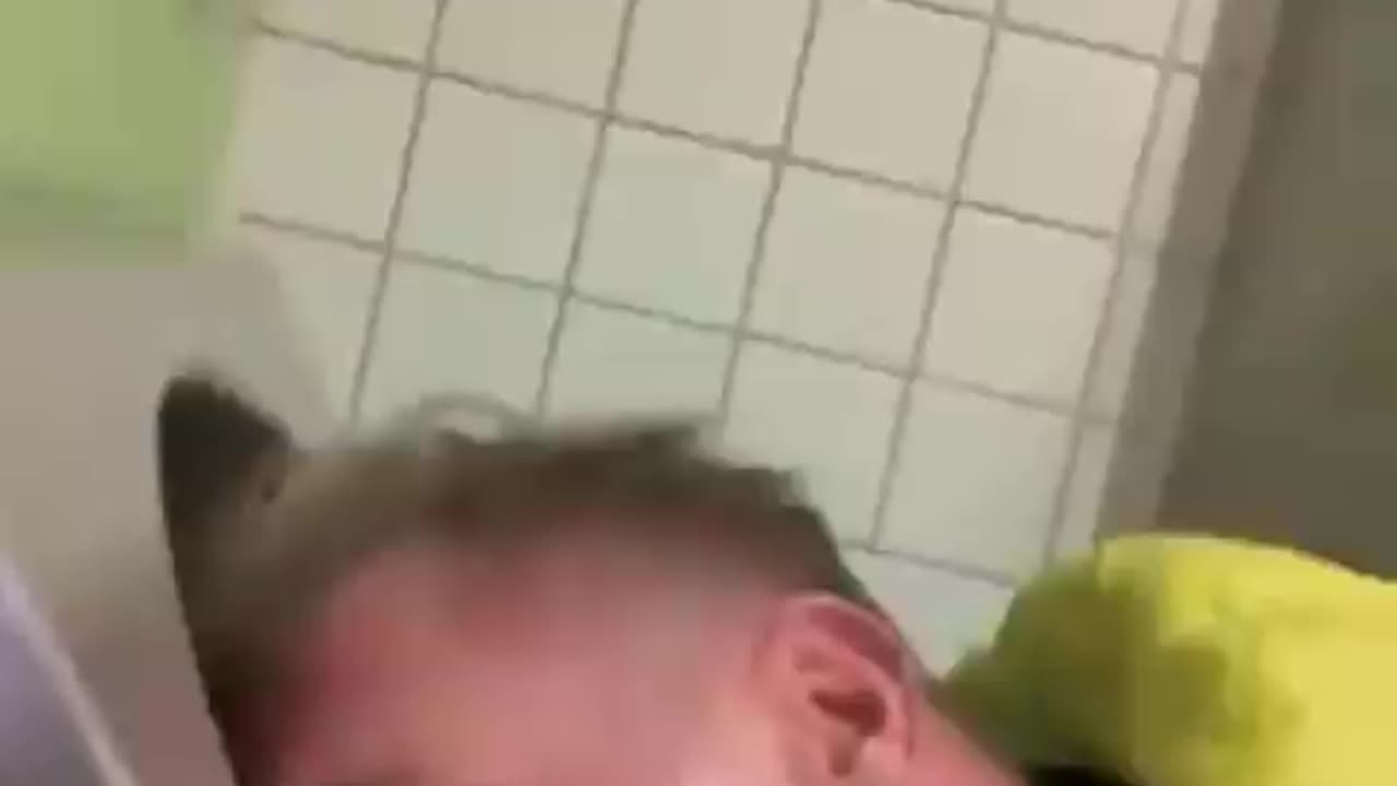 German “Democrat” licks public toilets to get votes