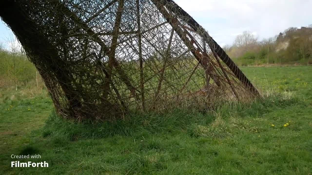 Wicker Noses and Whales