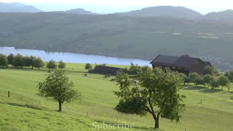 4k video of swiss life journey in switzerland, swiss natural beauty #relaxing