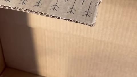 Mysterious box 🤣