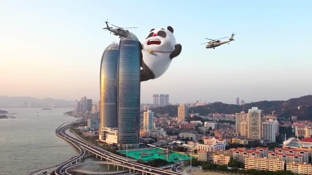Panda animation video