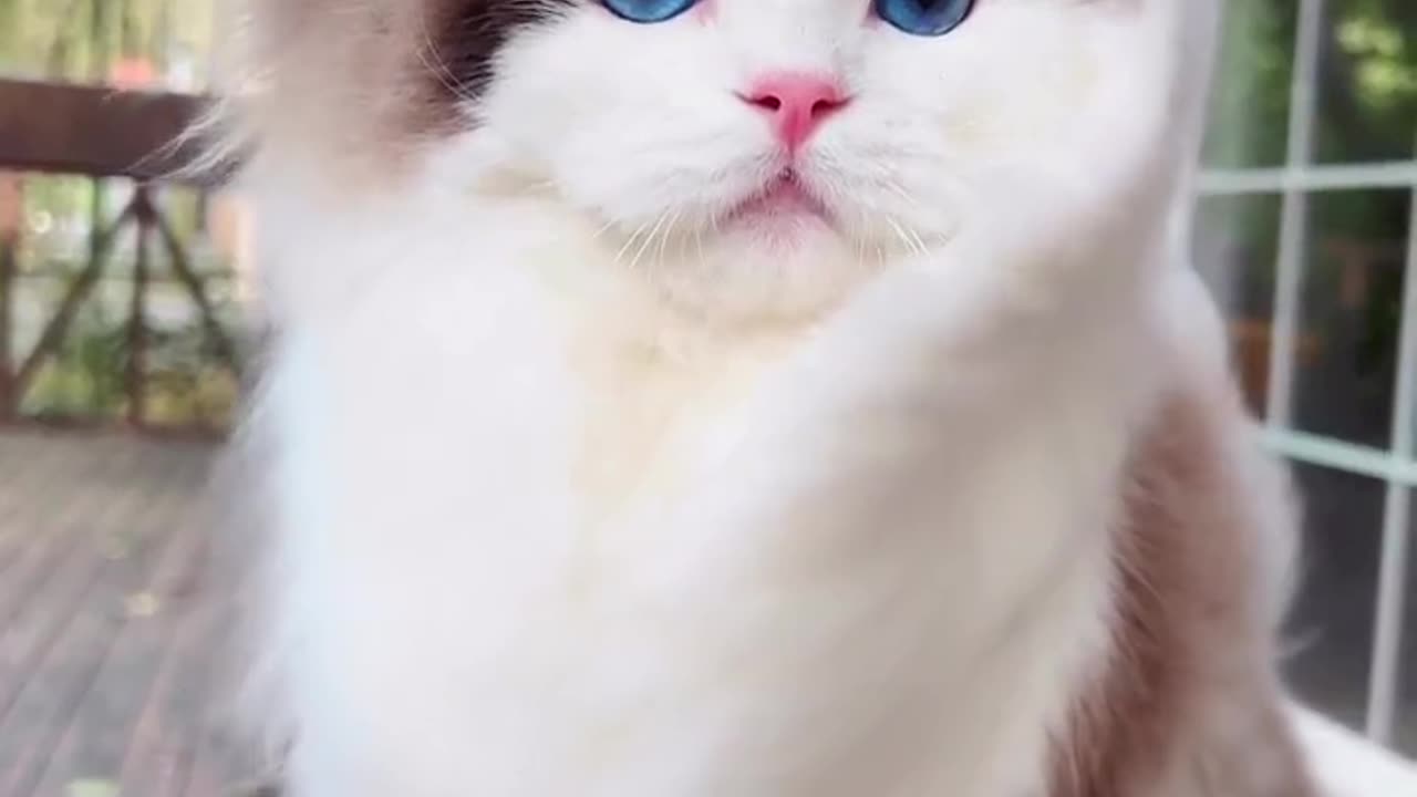 What beautiful eyes