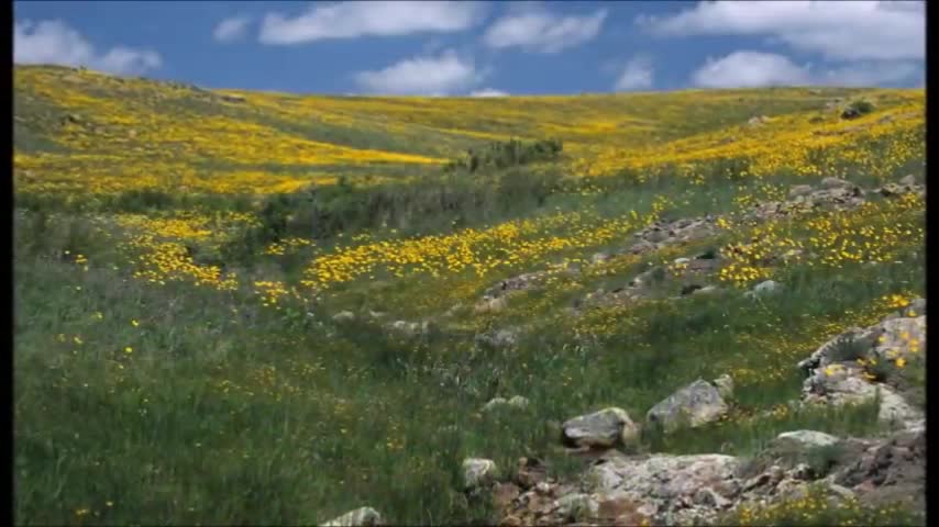 FLAT EARTH CLUES 4-10