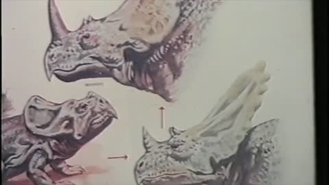 02 Dinosaurusi i dzinovi