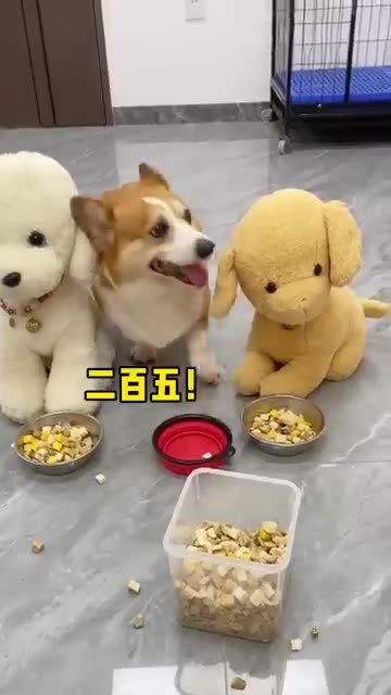 #Fun video#😂😂 Please Support like 👍