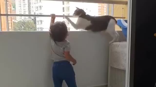 Cat knows it’s dangerous how cat save baby