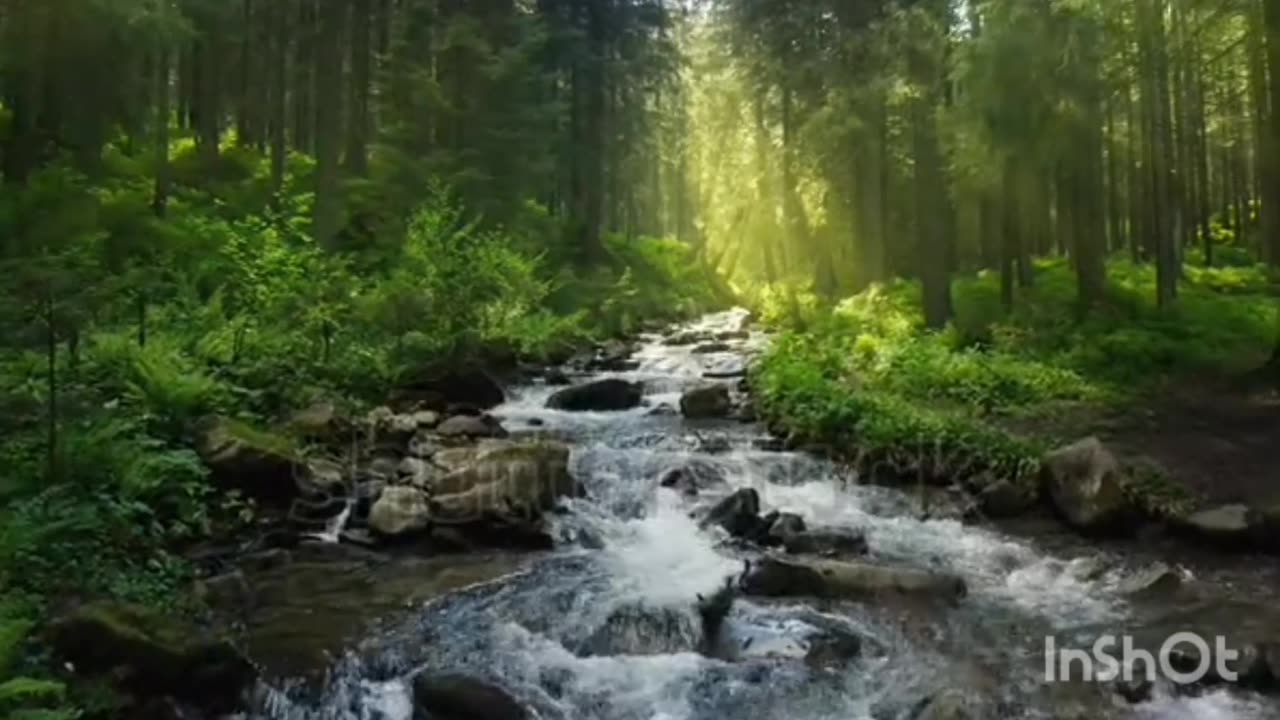 4k beautiful jungle river video