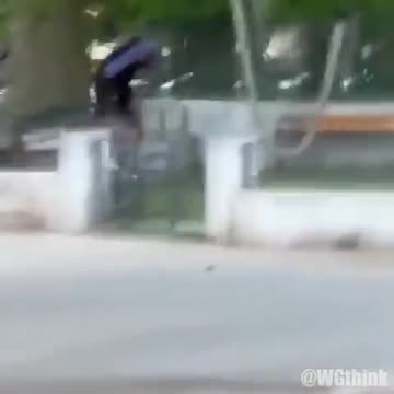 Syrian refugee goes on stabbing spree in park