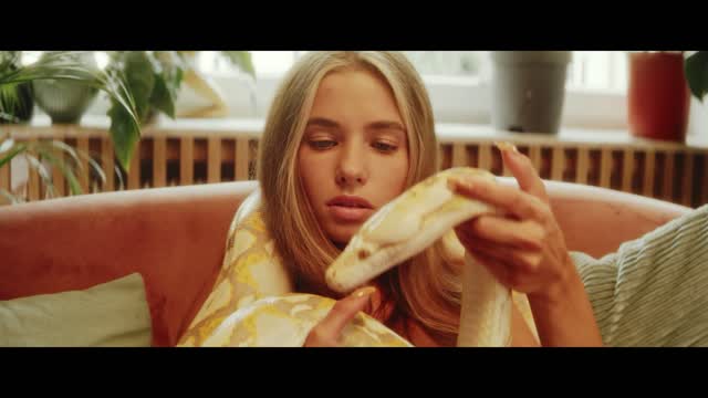 O que você precisa saber para criar uma cobra