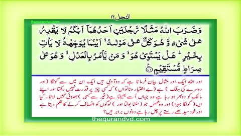 Para 14 - Juz 14 Rubama HD Quran Urdu Hindi Translation