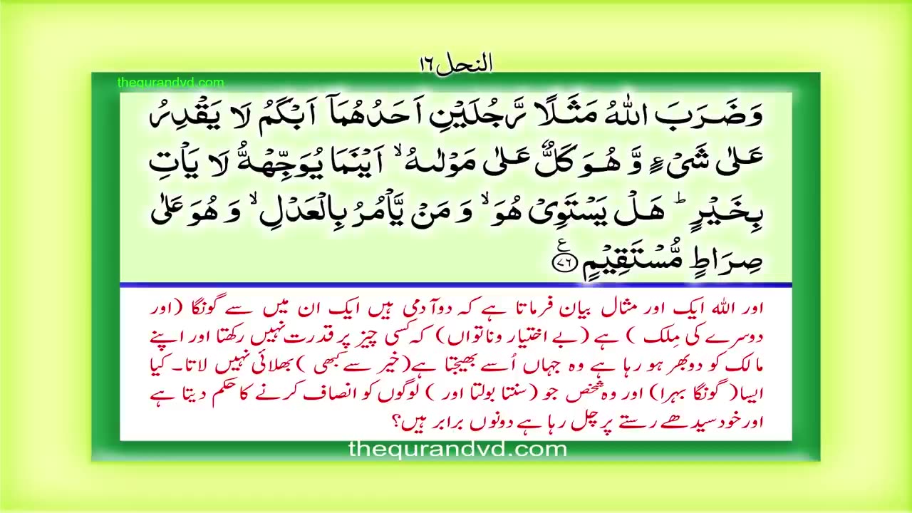 Para 14 - Juz 14 Rubama HD Quran Urdu Hindi Translation