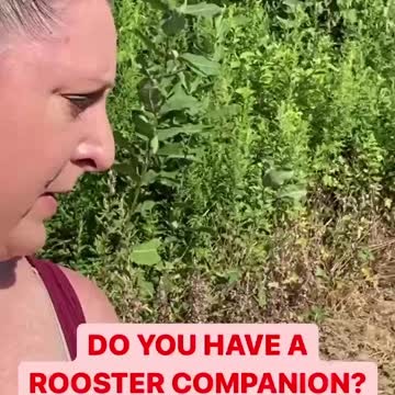 CHRIS HAD BEEN REPLACED 😊