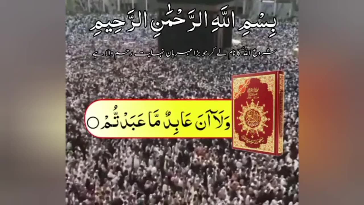 Surah kafirun with urdu Translation