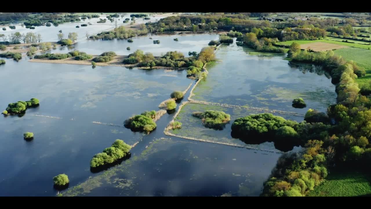 Wetlands _ Marais de Goulaine _ Canon R5 & Mavic 2 Pro Cinematic